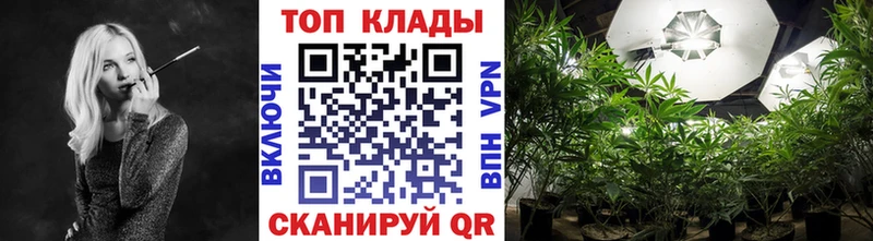 Где найти наркотики Ардатов COCAIN Псилоцибиновые грибы Alpha PVP Каннабис Гашиш
