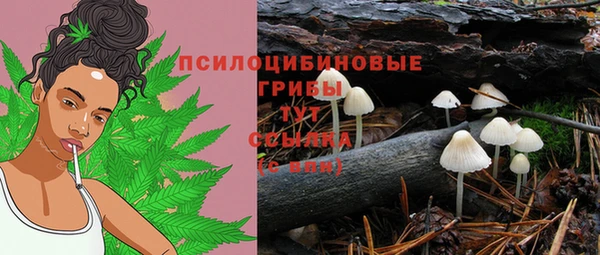 ешки Алексеевка