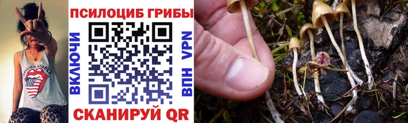 Галлюциногенные грибы мицелий  закладки  Ардатов 